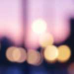 田無ファミリーランドに出店します！